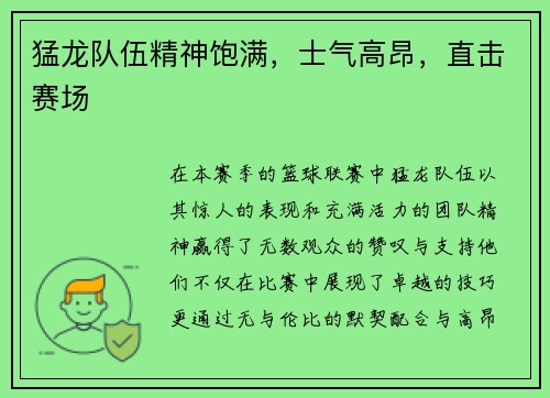 猛龙队伍精神饱满，士气高昂，直击赛场