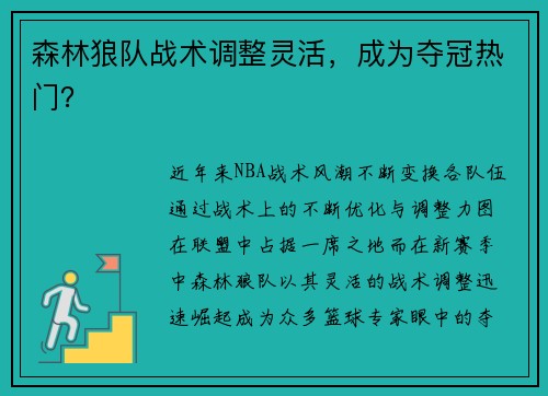 森林狼队战术调整灵活，成为夺冠热门？